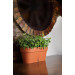 Балконный ящик Santino LATINA Window Box 6,7 л - песочный