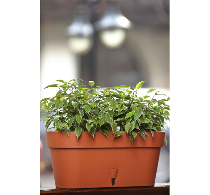 Балконный ящик Santino LATINA Window Box 6,7 л - нефрит