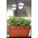 Балконный ящик Santino LATINA Window Box 6,7 л - нефрит
