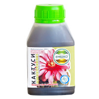 Эмбико КАКТУС