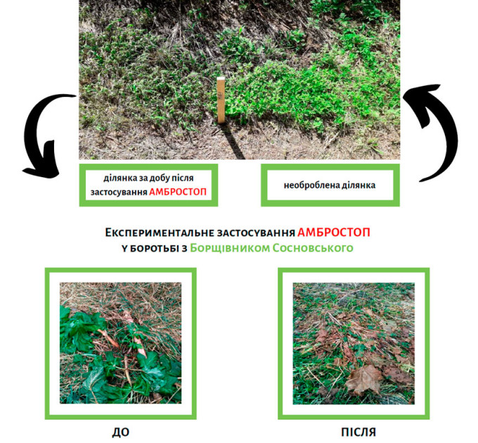 Биогербицид Амбростоп 5л