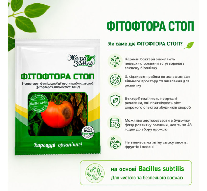 Фитофтора СТОП 15 г — биозащита растений от грибных болезней