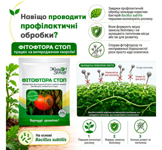 Фитофтора СТОП 15 г — биозащита растений от грибных болезней