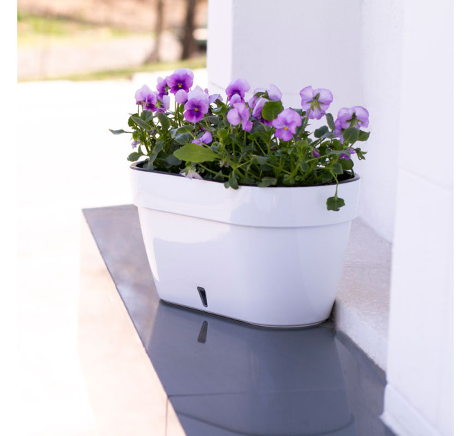Горшок для цветов ASTI Window box 5,2 л белый-черный с автополивом