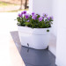 Горшок для цветов ASTI Window box 5,2 л белый-черный с автополивом