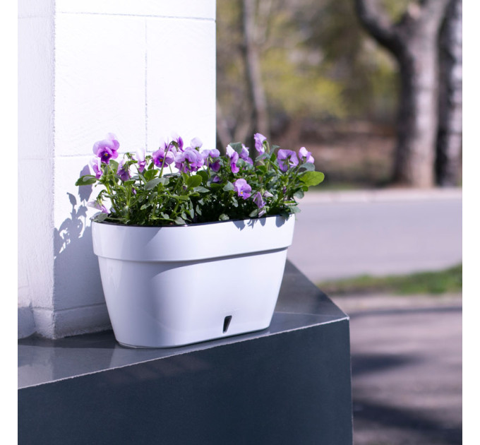 Горшок для цветов ASTI Window box 5,2 л белый-черный с автополивом