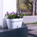 Горшок для цветов ASTI Window box 5,2 л белый-черный с автополивом