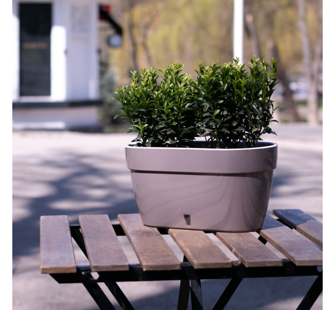 Горшок для цветов ASTI Window box 5,2 л антрацит-белый с автополивом